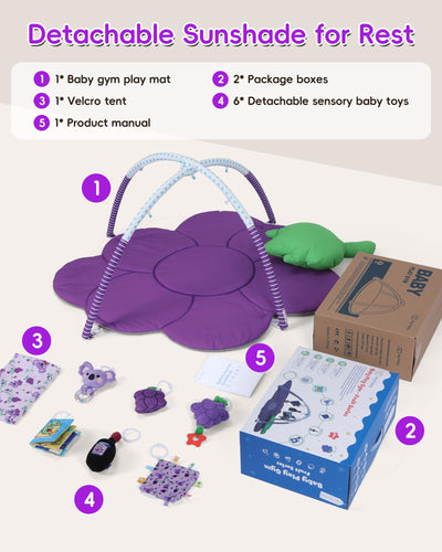 Heypappy Tummy Time Mat, 9-in-1 Grape Baby Play Gym Mat, Oversize Baby Play Activity Mat with Sunshade & 6 Detachable Sensory Toys, Washable Non-Slip Mat for Newborn Infant Baby Essentials Gift