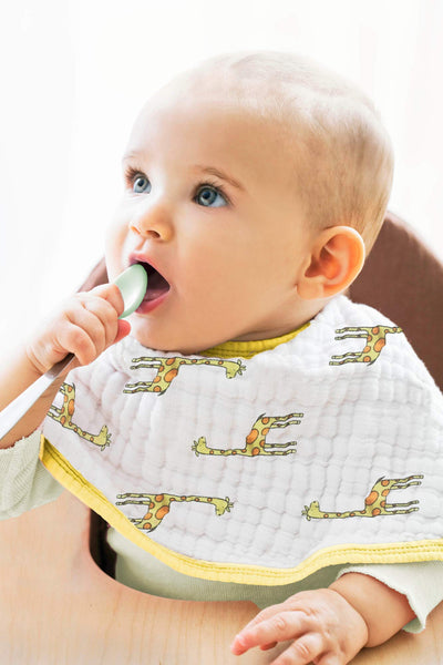 aden + anais burpy bib 2 pack; jungle jam