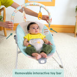 Bright Starts Disney Baby Winnie The Pooh Hunny Hues Bouncer with Soothing Vibrations, Unisex, Newborn+
